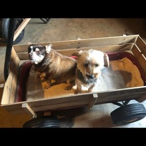 Meet your Posher, Ellen